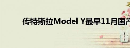 传特斯拉Model Y最早11月国产