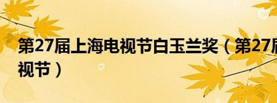 第27届上海电视节白玉兰奖（第27届上海电视节）