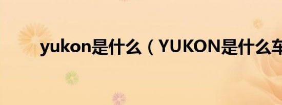 yukon是什么（YUKON是什么车）