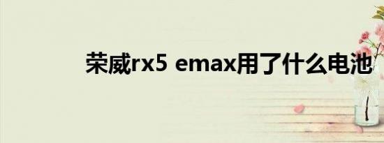 荣威rx5 emax用了什么电池
