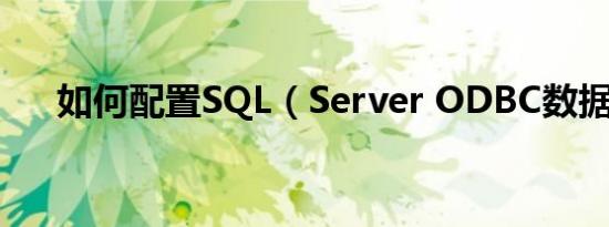 如何配置SQL（Server ODBC数据源）