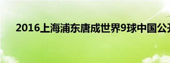 2016上海浦东唐成世界9球中国公开赛
