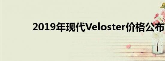 2019年现代Veloster价格公布