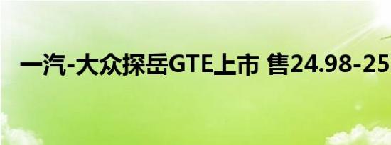 一汽-大众探岳GTE上市 售24.98-25.98万