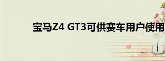 宝马Z4 GT3可供赛车用户使用