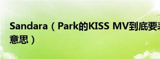 Sandara（Park的KISS MV到底要表达什么意思）
