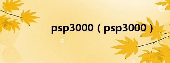 psp3000（psp3000）