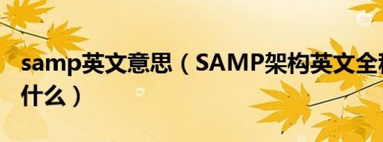 samp英文意思（SAMP架构英文全称分别是什么）