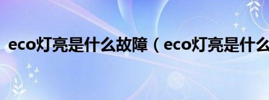 eco灯亮是什么故障（eco灯亮是什么意思）