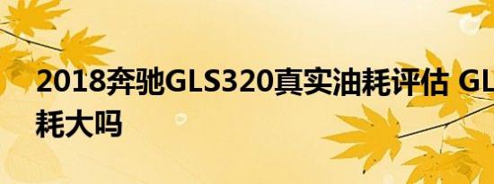 2018奔驰GLS320真实油耗评估 GLS320油耗大吗
