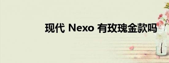 现代 Nexo 有玫瑰金款吗