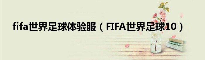 fifa世界足球体验服（FIFA世界足球10）