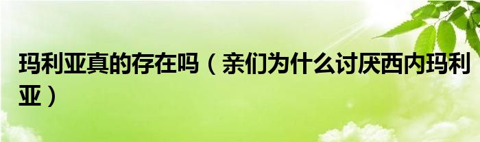 玛利亚真的存在吗（亲们为什么讨厌西内玛利亚）