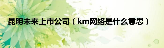 昆明未来上市公司（km网络是什么意思）