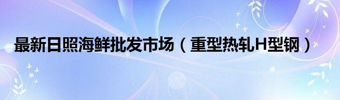 最新日照海鲜批发市场（重型热轧H型钢）