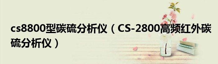 cs8800型碳硫分析仪（CS