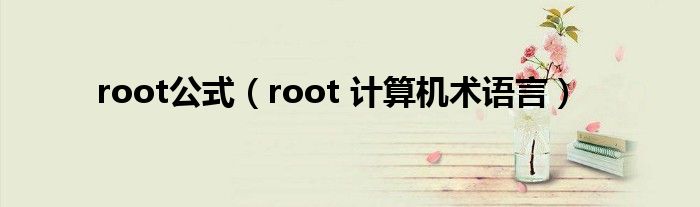 root公式（root 计算机术语言）