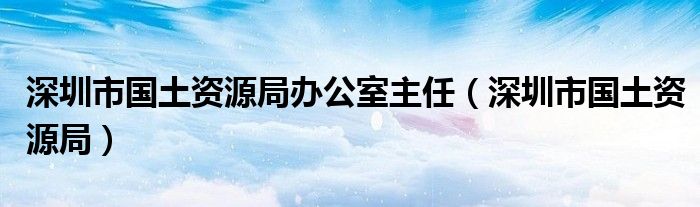 深圳市国土资源局办公室主任（深圳市国土资源局）