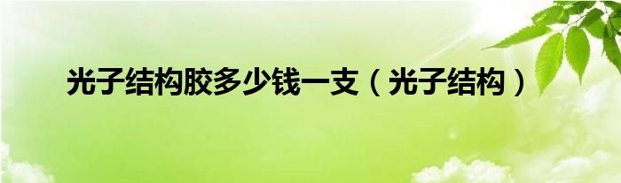 光子结构胶多少钱一支（光子结构）