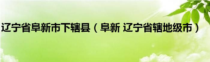 辽宁省阜新市下辖县（阜新 辽宁省辖地级市）