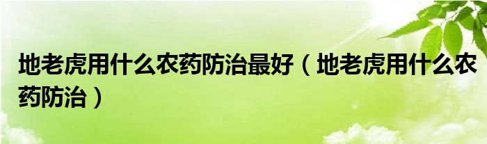 地老虎用什么农药防治最好（地老虎用什么农药防治）