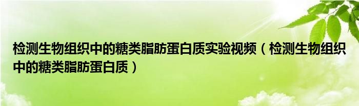 检测生物组织中的糖类脂肪蛋白质实验视频（检测生物组织中的糖类脂肪蛋白质）