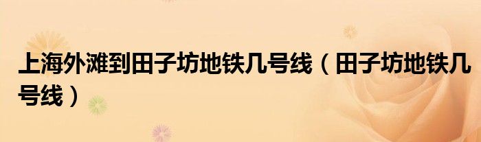 上海外滩到田子坊地铁几号线（田子坊地铁几号线）