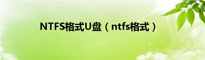 NTFS格式U盘（ntfs格式）