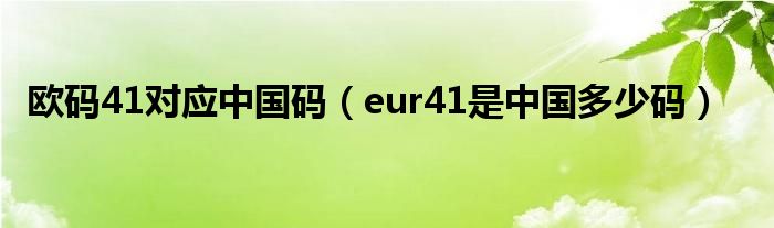 欧码41对应中国码（eur41是中国多少码）