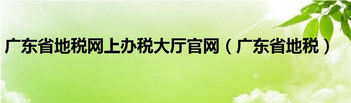 广东省地税网上办税大厅官网（广东省地税）